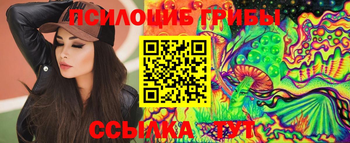 Псилоцибиновые грибы мицелий Ишим