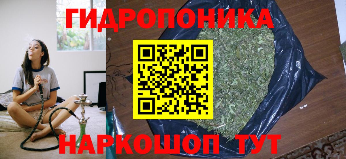 Ишим  Бошки марихуана Amnesia  Вход с VPN  Канабис планчик  Бошки Шишки тримм  Шишки марихуана OG Kush 